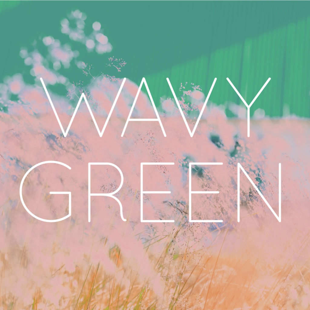 Logo de wavy green studio